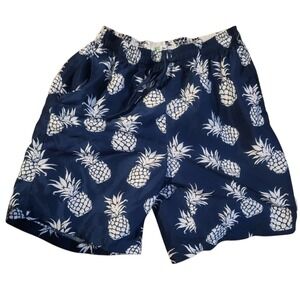 SPICY TUNA Mens Med Tropical Pineapple Print Lined Swim Trunks Bathing Suit Blue
